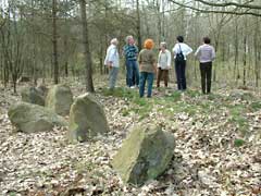 Großsteingrab bei Ahlhorn