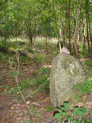 Tragstein des jungsteinzeitlichen Grosteingrabes